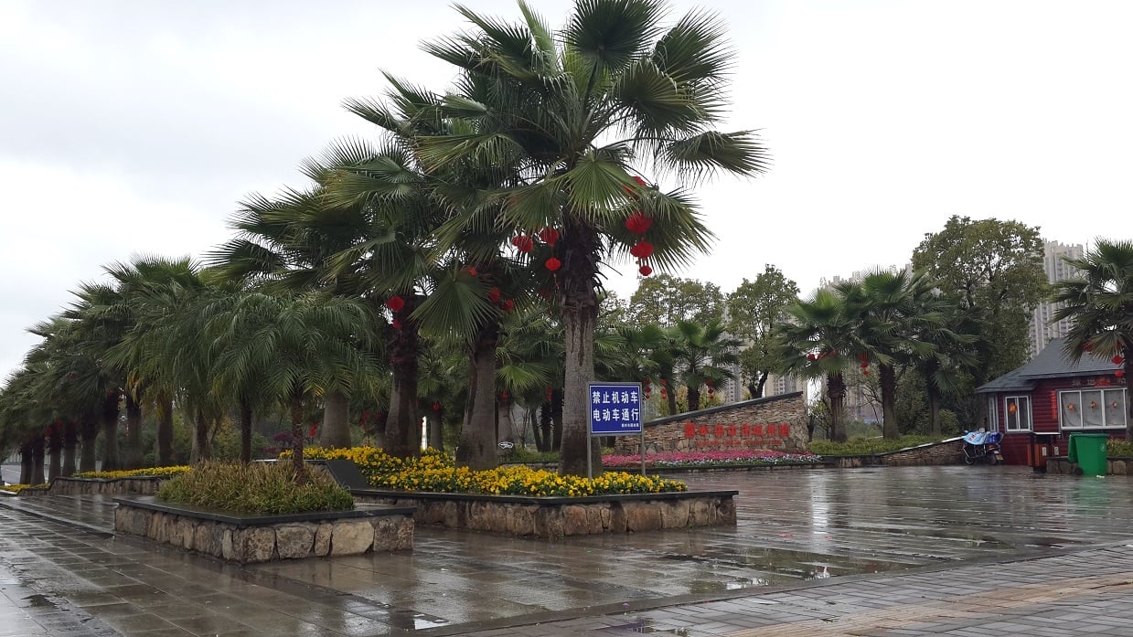 ​深圳會計師事務所|貴州西江苗寨|江西贛州