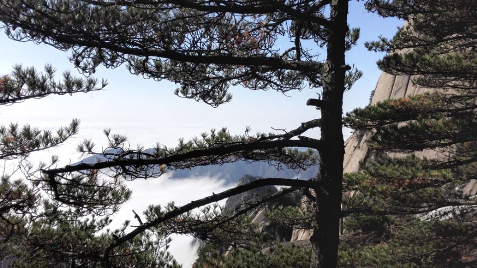 不良貸款與不良資産服務|企業财務顧問(wèn)服務|深圳會計師事務所