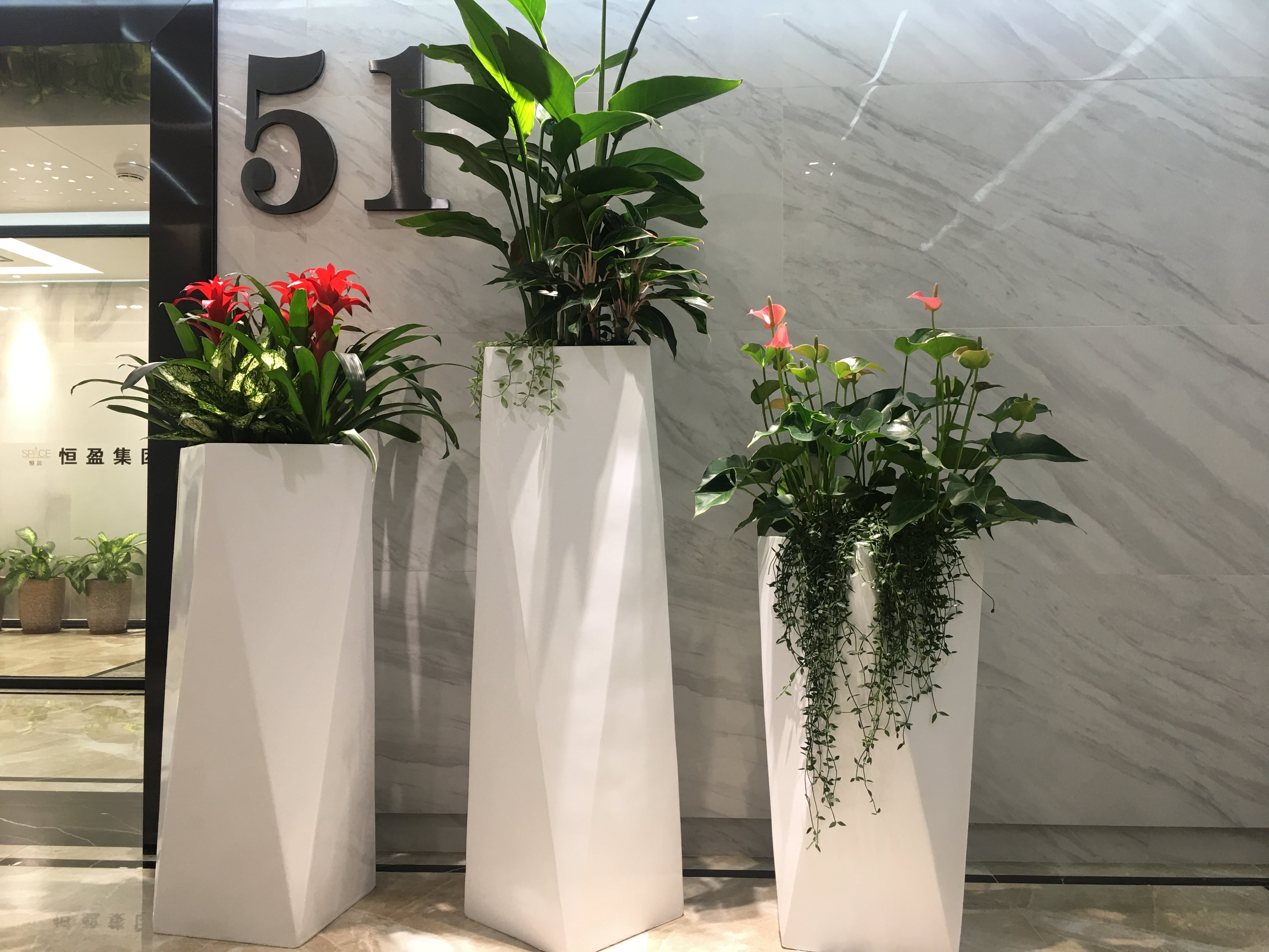 微信圖片_20200501035023