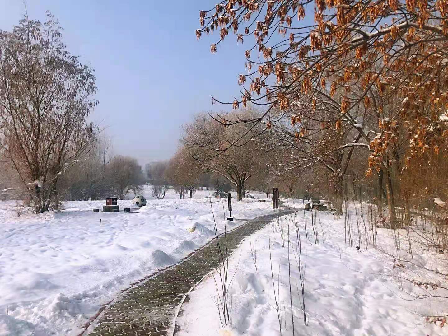 微信圖片_20210111001908