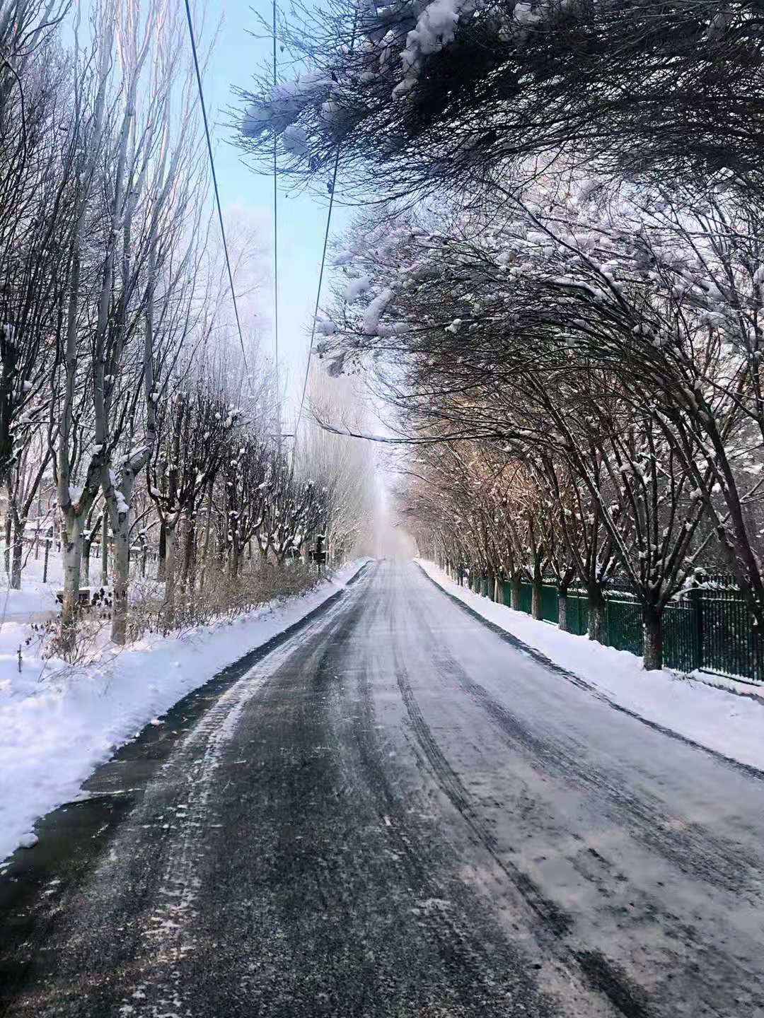 微信圖片_20210111001929