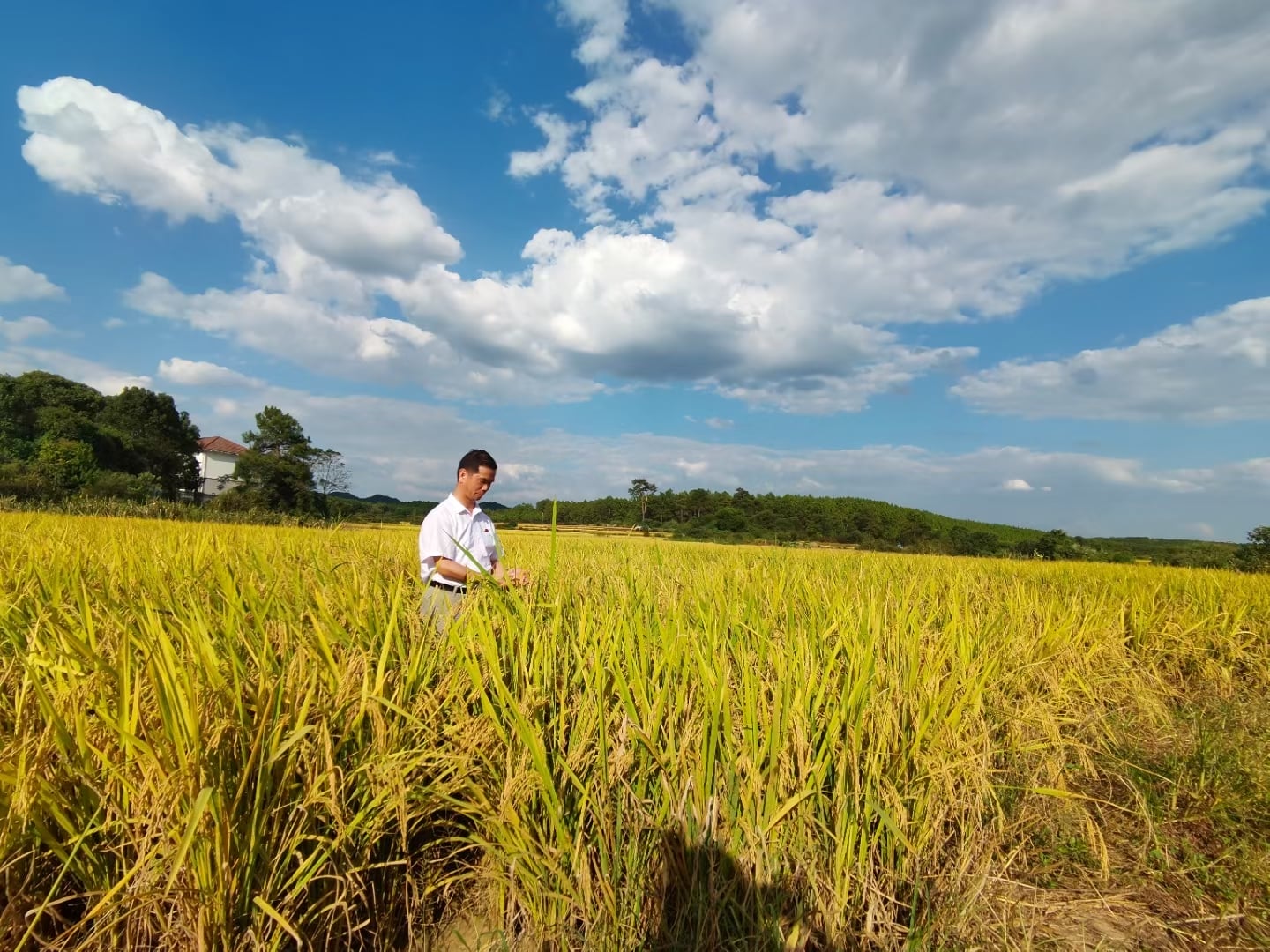 微信圖片_202112161638343