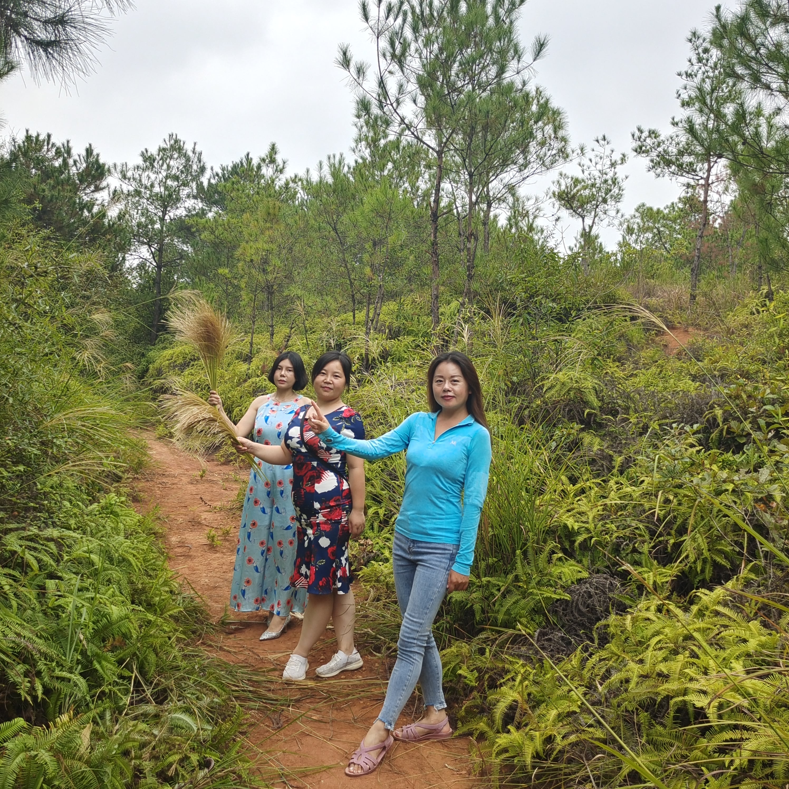 微信圖片_202112161659334